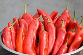 Chilies, hot Red peppers in metal bowl