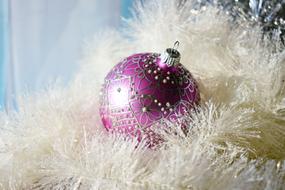 Christmas Joy Winter