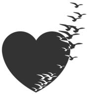 drawn flock of birds on a black heart background