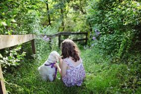 girl is stroking a white puppy in the garden