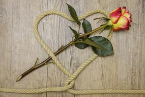 rope in the shape of a heart and rose