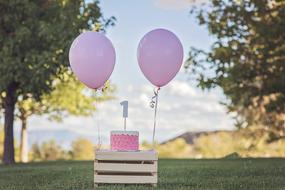 birthday cake on a box and two pink balloons