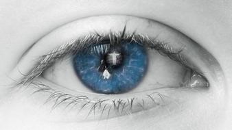 gentle Eye Blue
