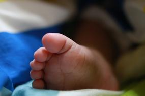 Feet of Newborn Baby close up