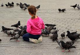 The Little Girl and city pigeons