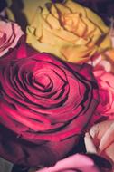 International WomenS Day March 8
