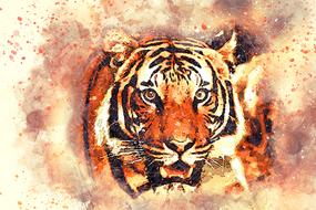 tiger portrait art abstract drawing