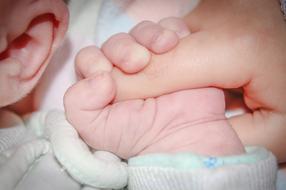 Hand of the parent and cute cute hand of the baby