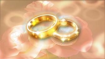 wedding rings gold and flowers drawing