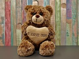 enchanting Teddy Love Romance toy