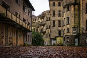 autumn leaves among the lost buildings