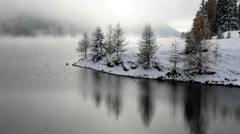 delightful Larch Winter Landscape