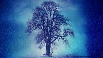 Winter Snow Tree in a blue landscape