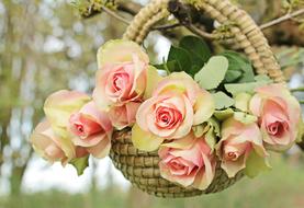 enchanting Roses Basket