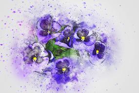 pansy flowers, bouquet, digital art