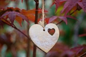 Heart Love Romance wood