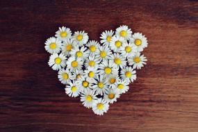 white daisies in the shape of a heart on a wooden table