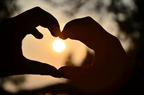 Hands in heart shape, among the trees, at beautiful and colorful sunset on background