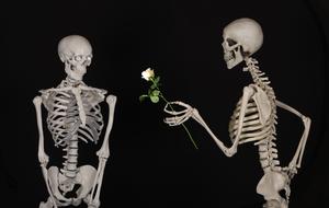 Skelet gives white rose to another one, digital art