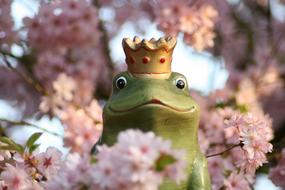 ceramic Frog Flowers