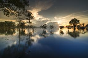 Beautiful waterscape with the trees, at colorful sunset, in spring