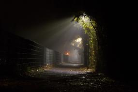 Path with the fence and colorful plants, in lights and shadows, at the night