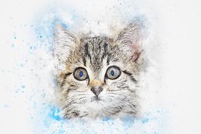 cat animal art abstract drawing