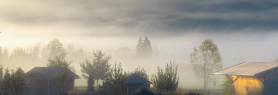 foggy summer Sunrise at countryside