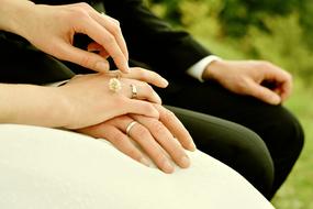 hands of the bride and groom at the photo shoot