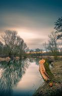 landscape of water in forest Nature