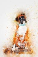 dog sitting boxer drawing