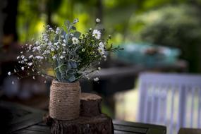 Natural Garden Baby flowers