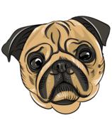 pug, cute dog face, drawing