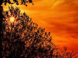 Sunrise Silhouette Backlighting red