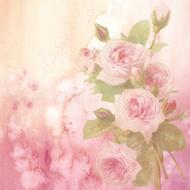 roses, pink background for scrapbooking