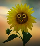 computer generated image of a sunflower with a face