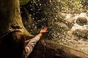 Child Girl Discover forest