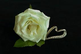 White Rose Heart jewellery in a dark
