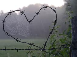 Cobweb in Heart shape barbed wire