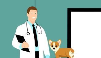 Cartoon veterinarian with the dog as a clipart