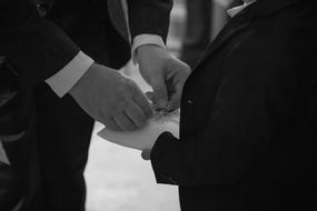 Wedding Groom and Bride