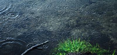 Rain drops on a Lake