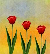 romantic wallpaper with tulips