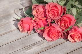 Beautiful red rose bouquet on the wooden surface