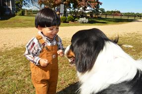 boy and black and white dog on the farm