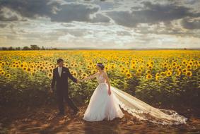 Bride and Couple Field