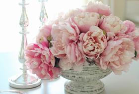 bouquet of pink peonies in a white vase