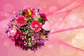 romantic bouquet of gerberas on a pink background