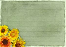 Frame Sunflower drawing