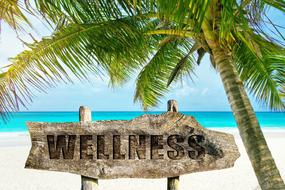 Wellness Palm Beach sign